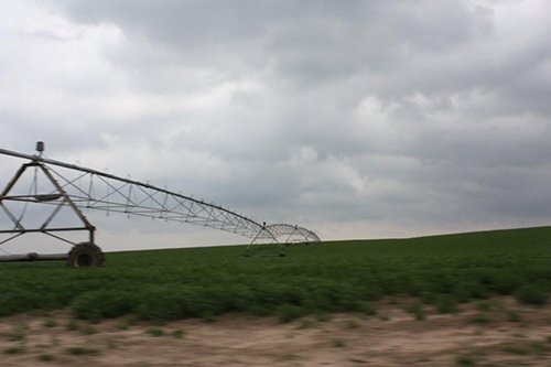 Property photo 38 - LAND AUCTION, 3255+/- Acres offered in 13 Tracts
